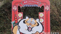 虎年趣味灯谜,趣味盎然，智慧碰撞