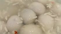 没有圆子,探索无圆子世界的无限可能