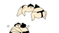 相扑猫微密的漫画,一场萌态与智慧的较量