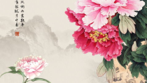 花开富贵贵,探寻象征财富与吉祥的花卉文化内涵