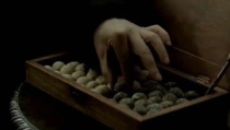 一粒七,探索创新与变革的无限可能