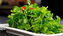 喜欢吃香菜,探寻香菜的独特魅力