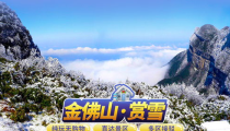 重庆金佛山一日游,探索巴蜀四大名山，感受自然与佛教文化之旅