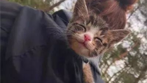 微密猫免费版