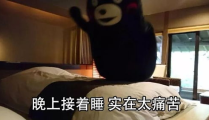 睡睡平安,揭秘优质睡眠的秘诀与生活艺术