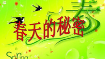 描写春天的句子10字,万物复苏