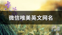   带love的网名,浪漫与个性的完美融合，打造专属你的网络标识
