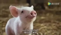 原神COS丨婚纱绫华超可爱！婢女刻晴！兔女郎甘雨！心海肉感完全！申鹤这目光也太御了吧？，宁泥名字寄意宁泥名字的寄义