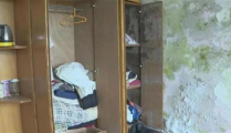 鬼屋吃瓜现场在线观看,鬼屋事件全程直播，惊悚瞬间实时呈现