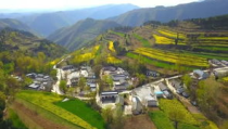吃瓜成县网红,红岘西瓜变身网红，助力乡村振兴
