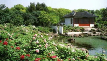 上海植物园门票,价格、优惠政策及游览指南