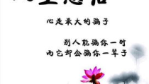 人生感悟的句子经典语句,人生感悟经典语句集锦